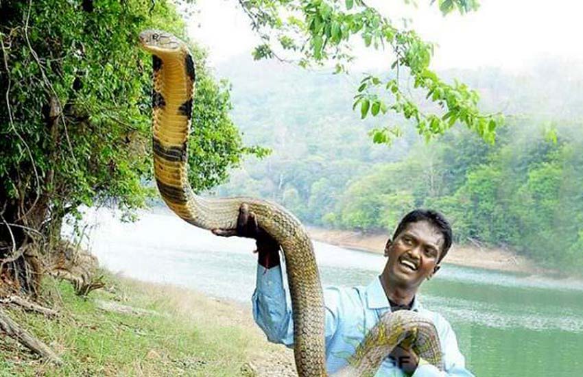man-cobra-news